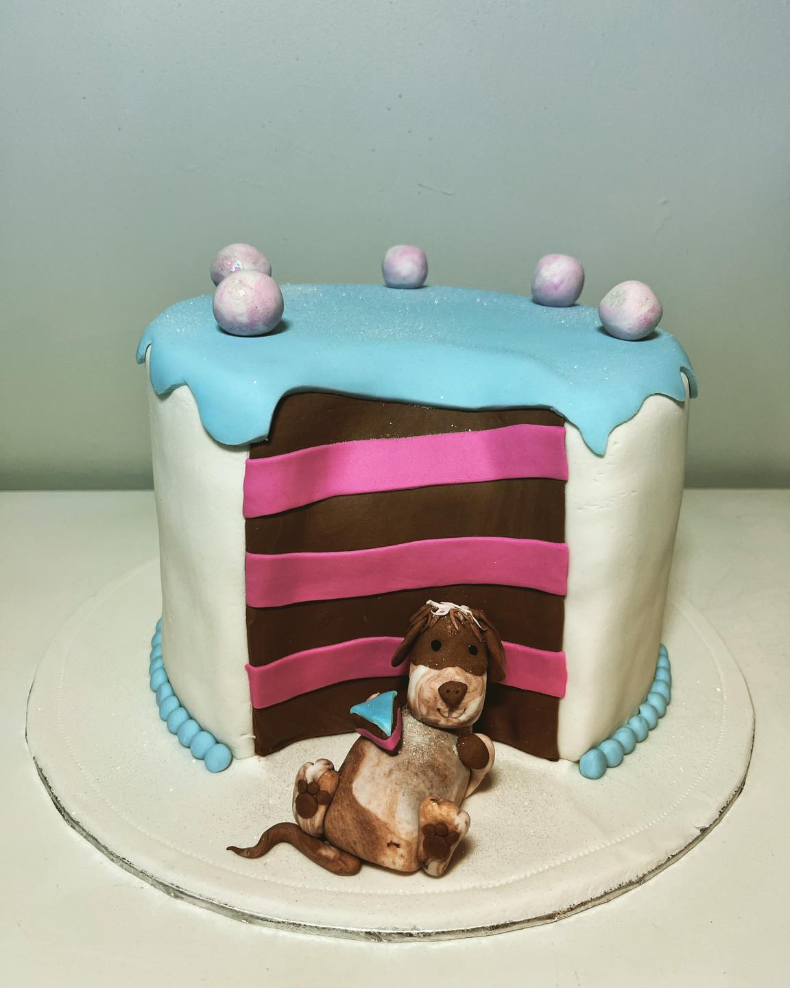 Birthday cakes, dog cake, cape town cakes, novelty cakes, birthday cakes, southern peninsula, cakes