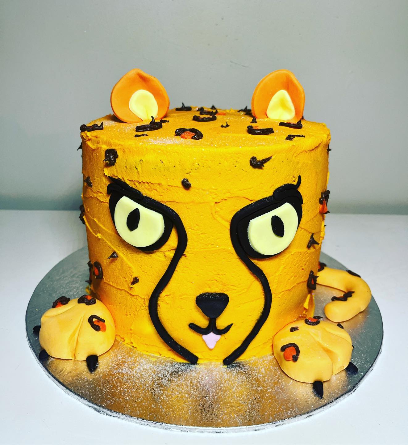 Cheetah cake, cape town cakes, novelty cakes, birthday cakes, southern peninsula, cakes