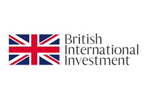 British International Investment corporate cupcakes, British Embassy cupcakes